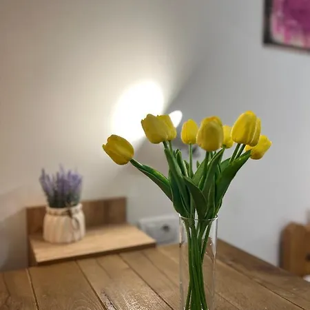 Hostel Klara Novi Sad